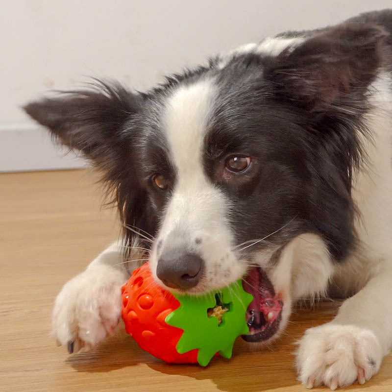KFX-6169789 Soft Rubber Dog Tooth Cleaning Toy Ball - Bite Resistant and Safe for All Dog Breeds