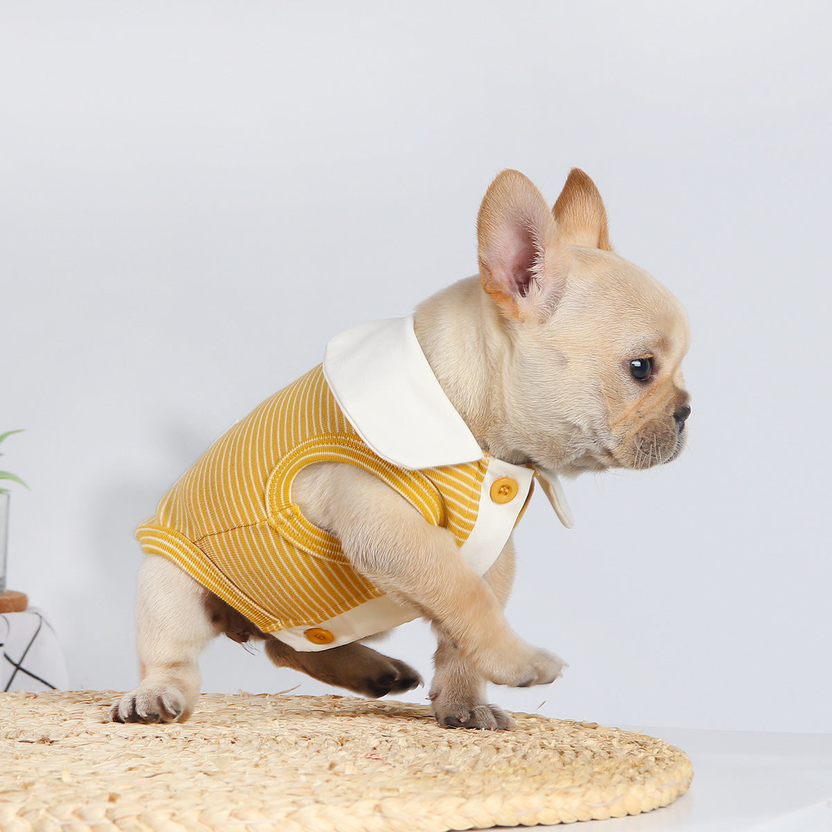 KFX-6171709 Cute Buckle Undershirt for Dogs in Yellow and Pink Cotton - Fashionable Minimalist Design
