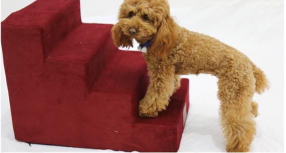 KFX-6181053 Pet Stair Ladder for Dogs - Soft and Compact Steps for Easy Access to Sofas and Beds, Ideal for Older or Small Pets