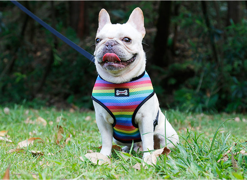 KFX-6181949 Rainbow Striped Chest Strap - Sandwich Mesh, Sizes S, M, L