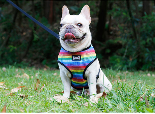 KFX-6181949 Rainbow Striped Chest Strap - Sandwich Mesh, Sizes S, M, L