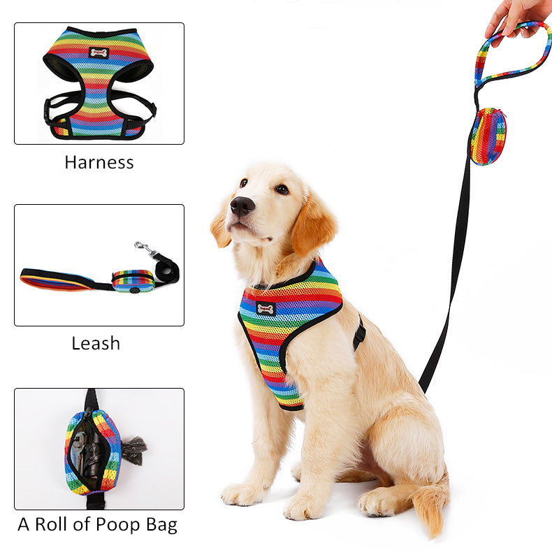 KFX-6181949 Rainbow Striped Chest Strap - Sandwich Mesh, Sizes S, M, L