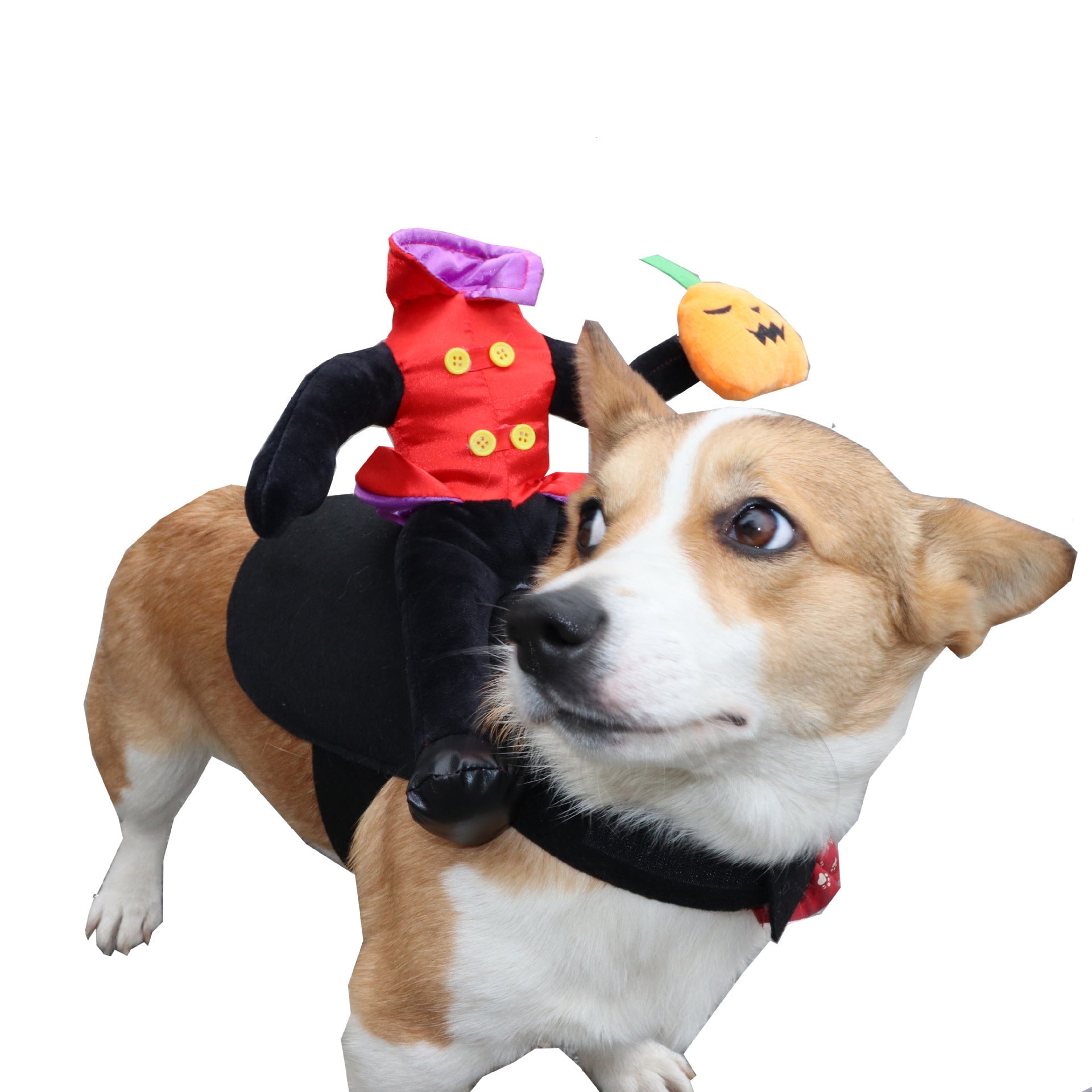 KFX-6192573 Headless Man Costume for Dogs - Funny Pet Halloween Outfit in Various Sizes