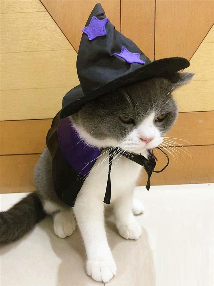 KFX-6193981 Halloween Cloak and Hat Set for Cats and Small to Medium Dogs