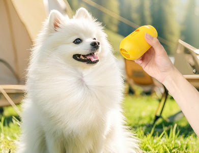 KFX-6196029 Multifunctional Hair Remover for Cats and Dogs - Eco-Friendly Summer Pet Grooming Tool