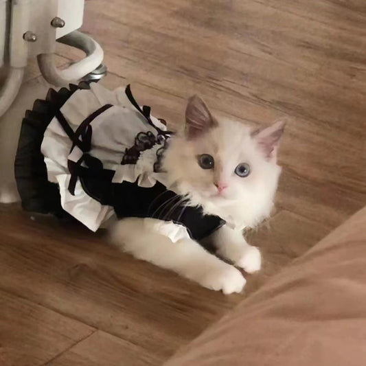 KFX-6204477 Cute Black Magic Fairy Cat Princess Dress Skirt for Pets