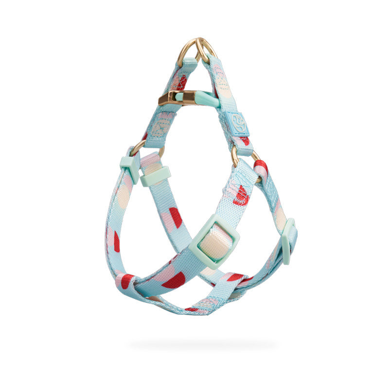 KFX-6214717 Y-Shaped Nylon Chest Strap Leash for Small Dogs - Adjustable Fit with Zinc Alloy Hook