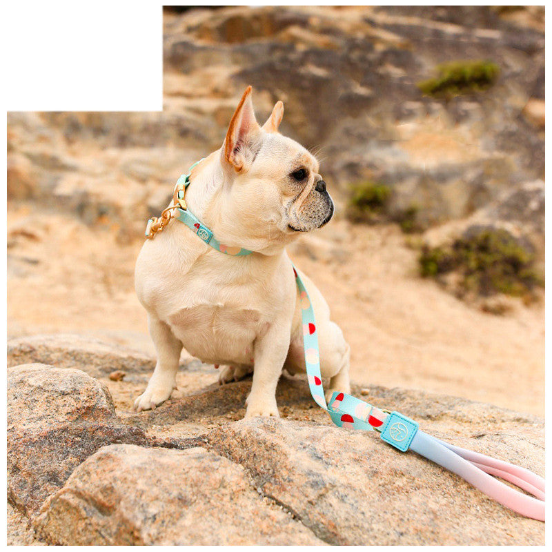 KFX-6214717 Y-Shaped Nylon Chest Strap Leash for Small Dogs - Adjustable Fit with Zinc Alloy Hook