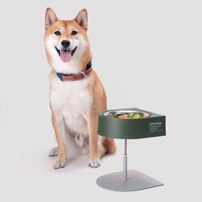 KFX-6215613 Versatile Camping Bowl for Cats and Dogs with Dish Rack - Khaki, Navy Blue, White