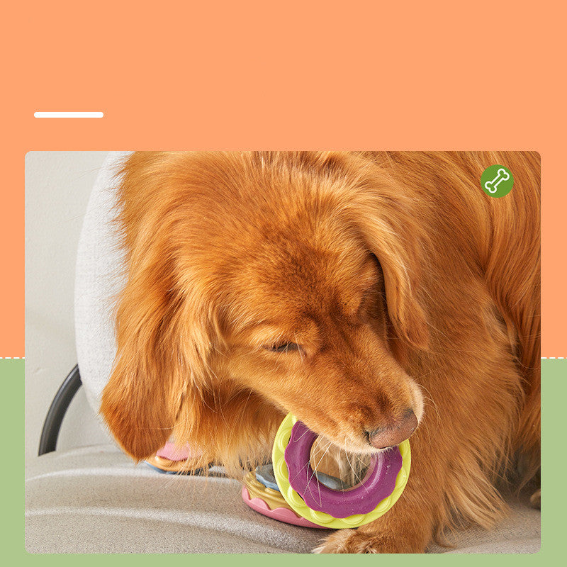KFX-6222013 Bite-Resistant Bouncy Ball Molar Stick for Dogs - Durable Chew Toy in Multiple Colors