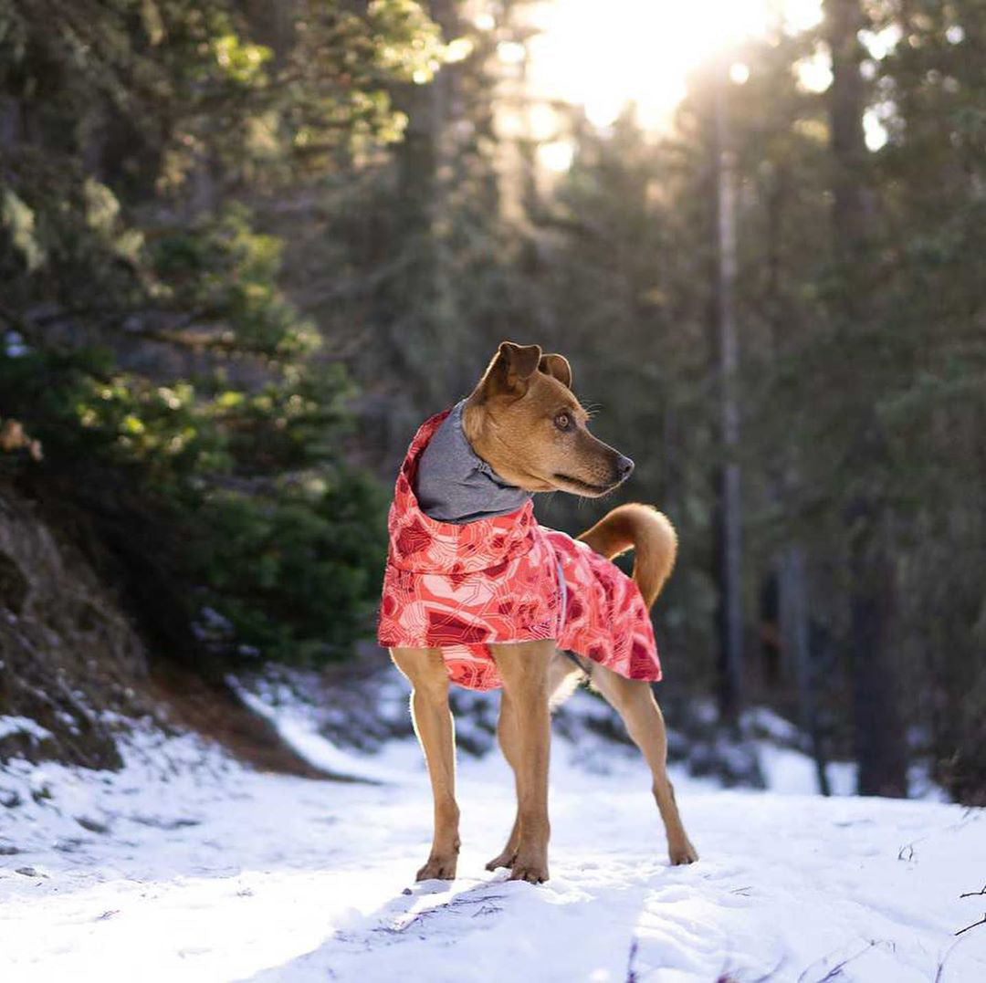 KFX-6225597 Warm Waterproof Quilted Dog Cotton Jacket in Emerald Green and Orange Red - Sizes M to 4XL