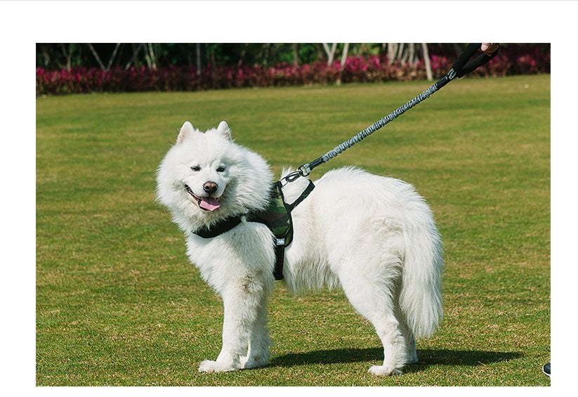 KFX-6236477 Durable Nylon Dog Leash with Adjustable Length for All Dog Sizes