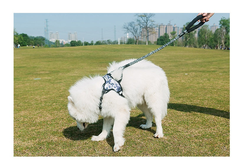 KFX-6236477 Durable Nylon Dog Leash with Adjustable Length for All Dog Sizes