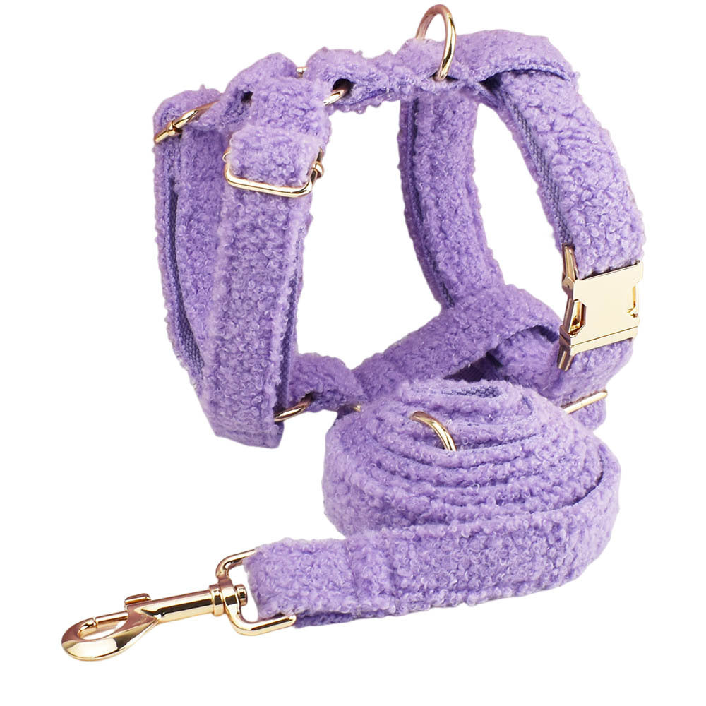 KFX-6243901 Purple Four-Piece Small Dog Accessories Set: Collar, Leash, Bow, and Vest