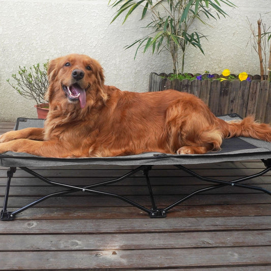 KFX-6246845 Double Layer Fabric Large Foldable Pet Bed - Soft, Cozy Design for Medium to Large Dogs