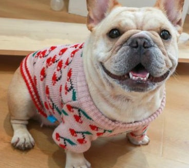 KFX-6252349 Cozy Christmas Dog Sweater in Santa Claus Red and Pearl Milk Tea Colors