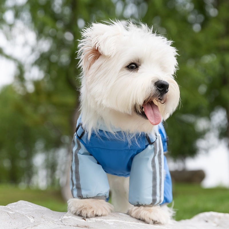 KFX-6252733 Reflective Waterproof Outdoor Jumpsuit for Small and Medium Dogs with Built-in Harness