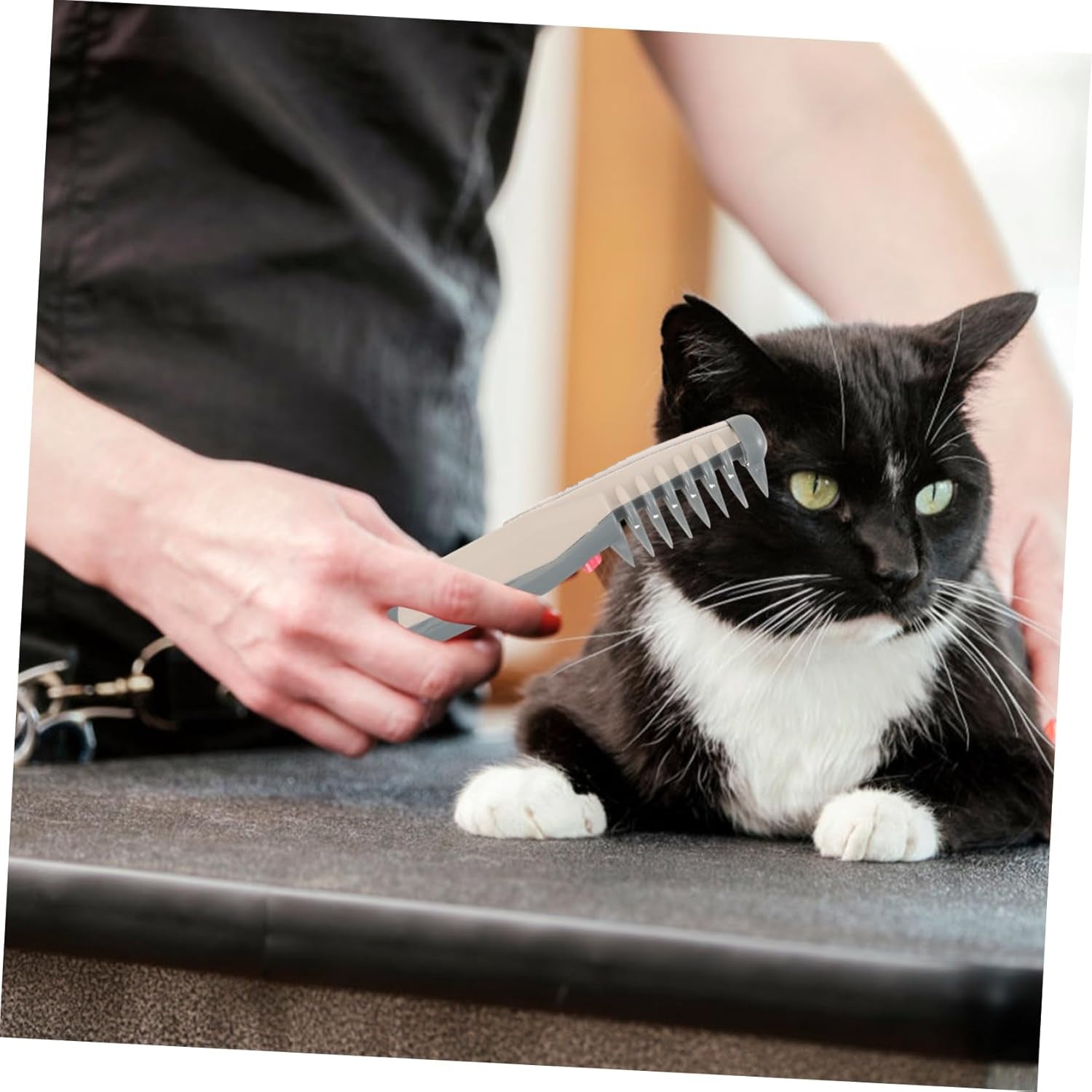 KFX-6266941 Pet Hair Trimmer for Grooming and Precision Cuts – Battery Operated with ABS Construction