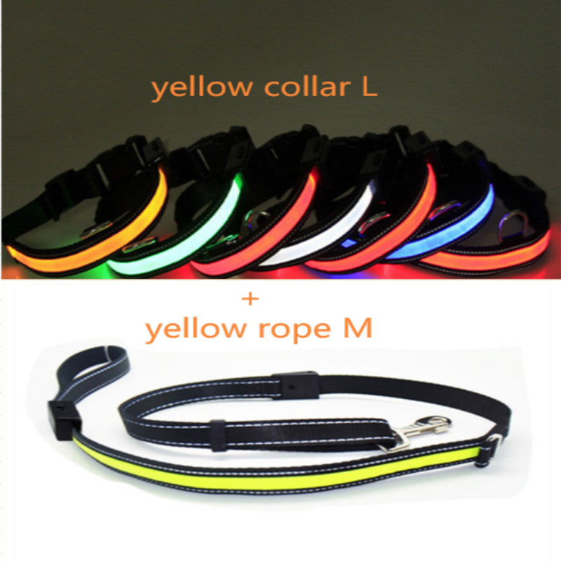 KFX-6267453 Fluorescent Adjustable Dog Collar with Solar and USB Charging – Sizes S, M, L