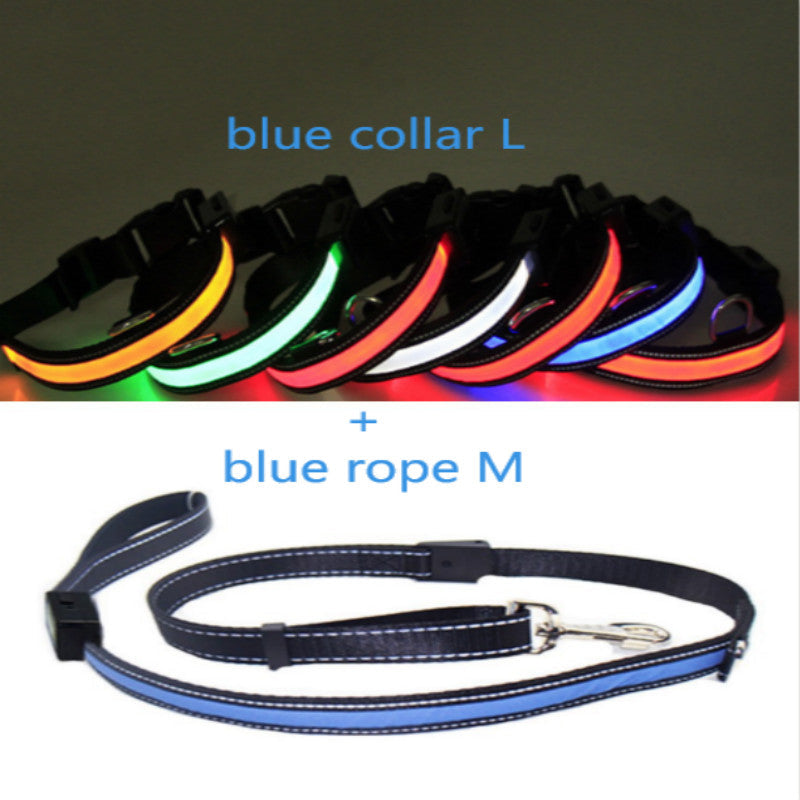 KFX-6267453 Fluorescent Adjustable Dog Collar with Solar and USB Charging – Sizes S, M, L