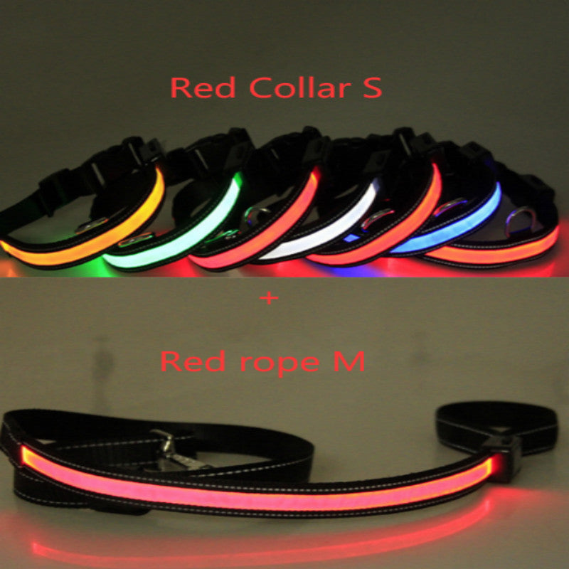 KFX-6267453 Fluorescent Adjustable Dog Collar with Solar and USB Charging – Sizes S, M, L