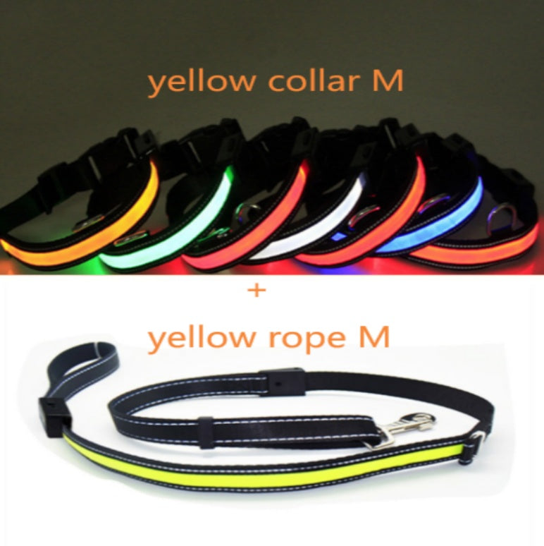 KFX-6267453 Fluorescent Adjustable Dog Collar with Solar and USB Charging – Sizes S, M, L