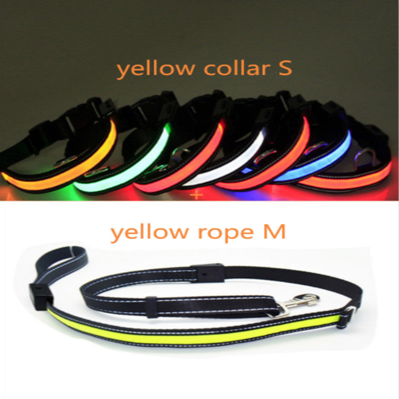 KFX-6267453 Fluorescent Adjustable Dog Collar with Solar and USB Charging – Sizes S, M, L