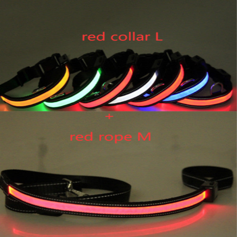 KFX-6267453 Fluorescent Adjustable Dog Collar with Solar and USB Charging – Sizes S, M, L