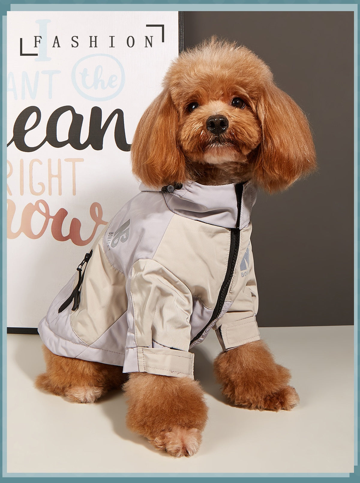 KFX-6283325 Waterproof Warm Dog Jacket for Autumn and Winter – Casual Pet Raincoat in Three-Color Stitching