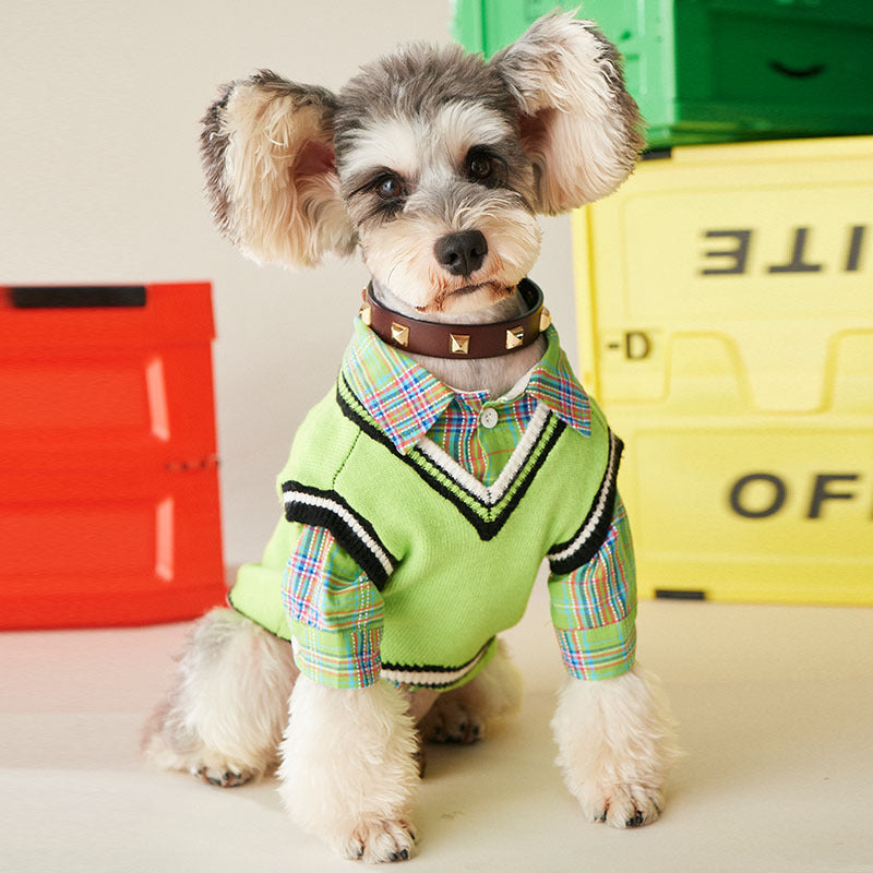 KFX-6290877 Fruit Green Casual Shirt for Small and Medium-sized Dogs and Cats