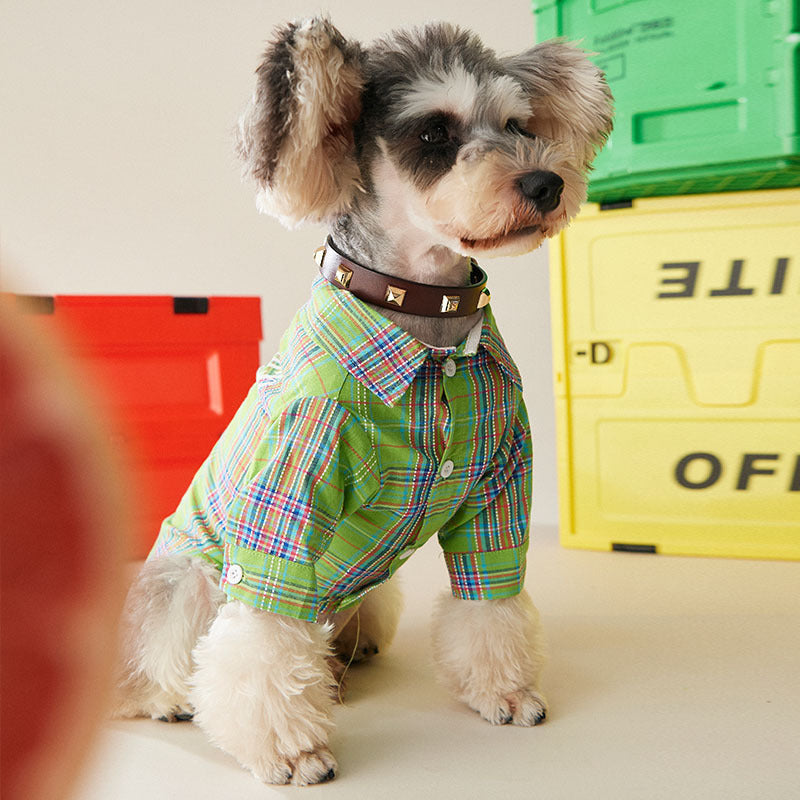 KFX-6290877 Fruit Green Casual Shirt for Small and Medium-sized Dogs and Cats
