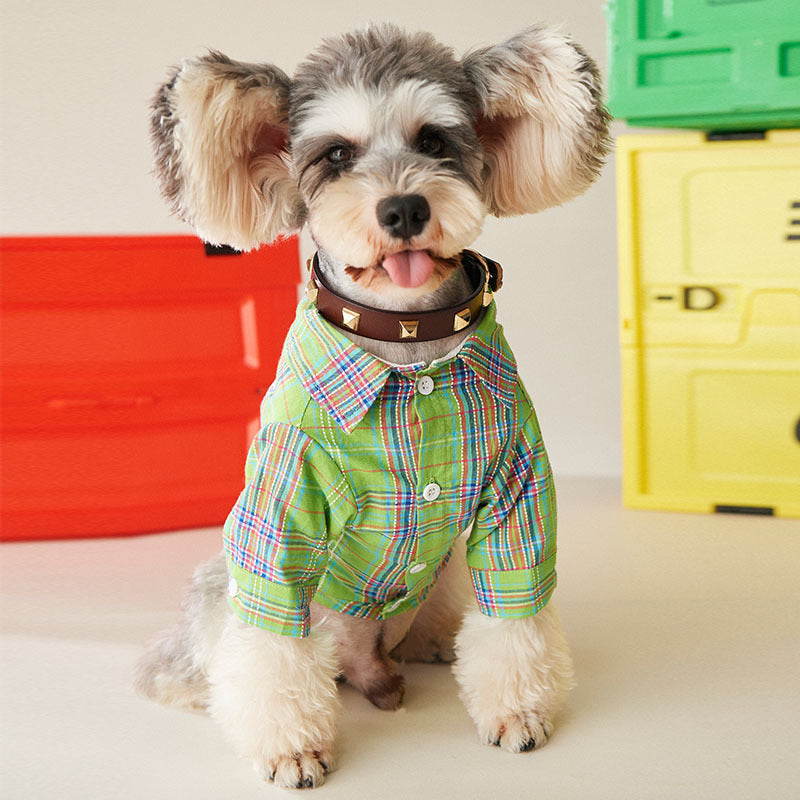 KFX-6290877 Fruit Green Casual Shirt for Small and Medium-sized Dogs and Cats