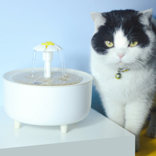 KFX-6292541 Automatic Cat Water Dispenser with USB Interface and Loop Filtering System