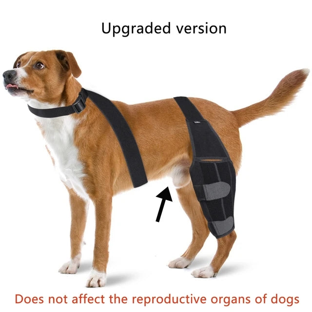 KFX-6299709 Dog Knee Pad Protective Gear for Surgical Injury - Neoprene Bandage and Collar Set