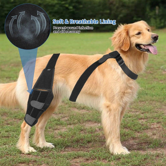 KFX-6299709 Dog Knee Pad Protective Gear for Surgical Injury - Neoprene Bandage and Collar Set