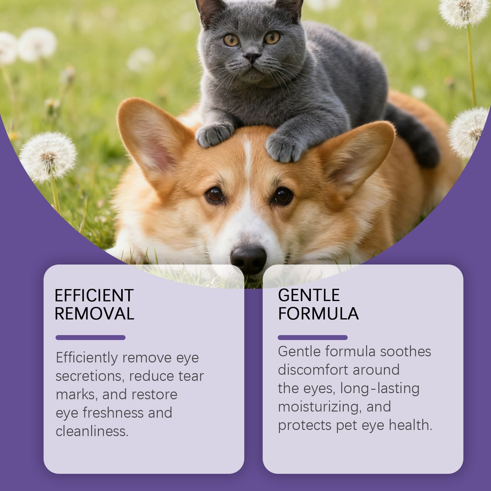 KFX-6300093 Gentle Eye Drops for Cats and Dogs – Effectively Clean Tear Stains and Discharge, 30ml