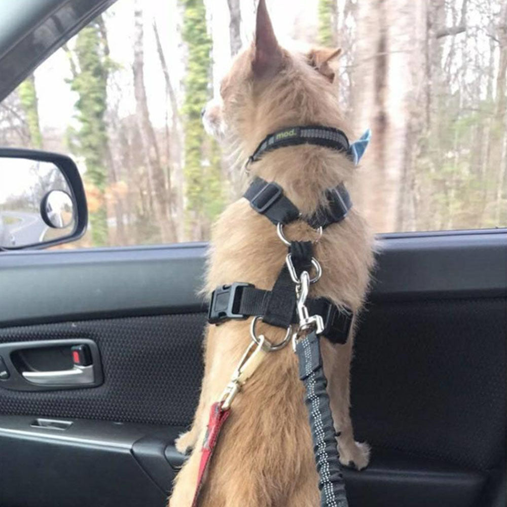 KFX-6302013 Adjustable Dog Seat Belt with Elastic Buffer and Reflective Safety Features