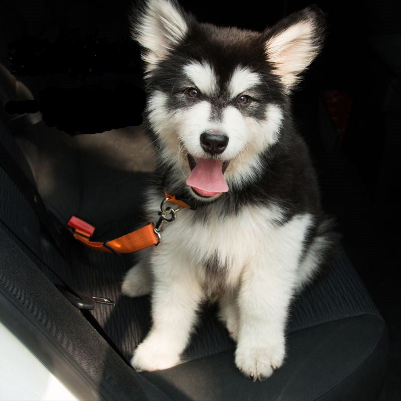 KFX-6302013 Adjustable Dog Seat Belt with Elastic Buffer and Reflective Safety Features
