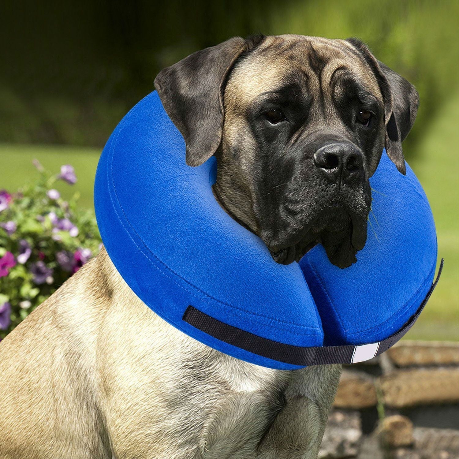 KFX-6304189 Inflatable Protective Collar for Dogs and Cats - Sizes S, M, L, XL in Cloth and PVC
