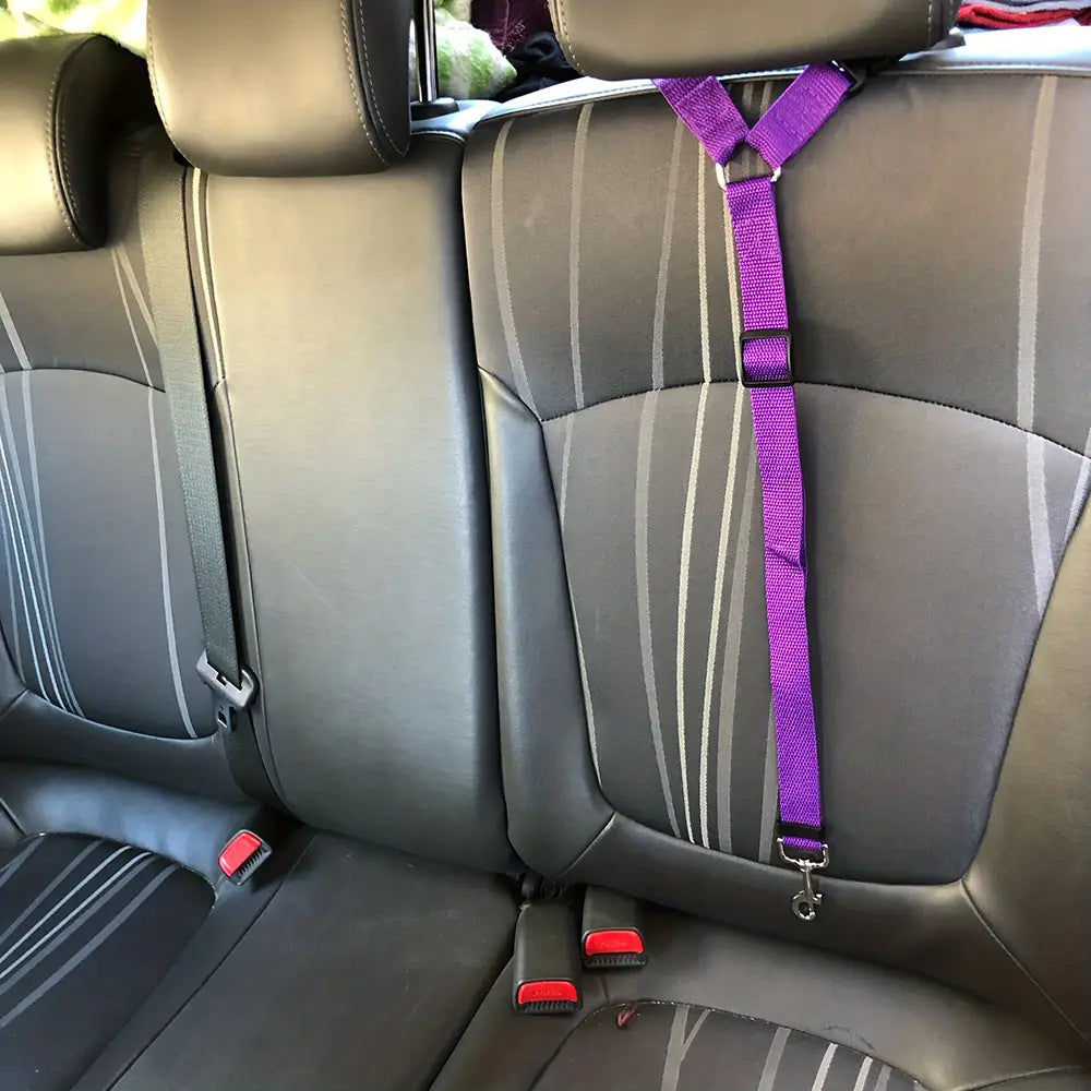 KFX-6305469 Adjustable Two-in-One Pet Safety Seat Belt Harness and Leash for Dogs and Cats
