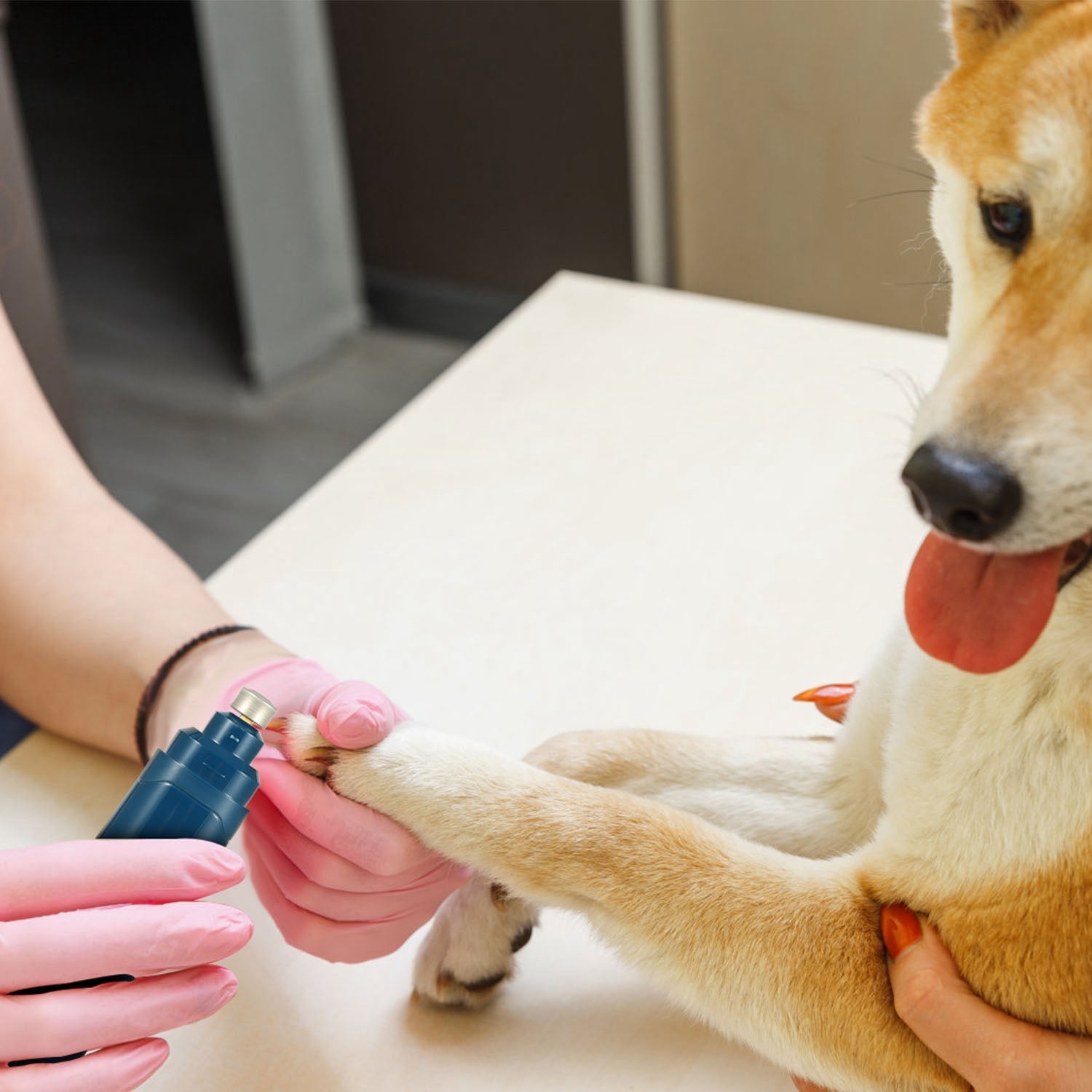 KFX-6311741 Rechargeable Dog & Cat Nail Grinder with 2 Speed Settings, Quiet Operation, and USB Charging