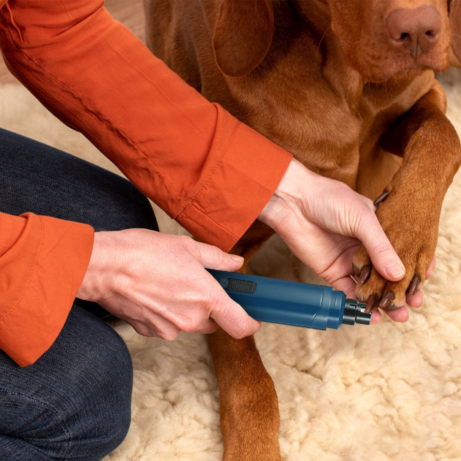 KFX-6311741 Rechargeable Dog & Cat Nail Grinder with 2 Speed Settings, Quiet Operation, and USB Charging