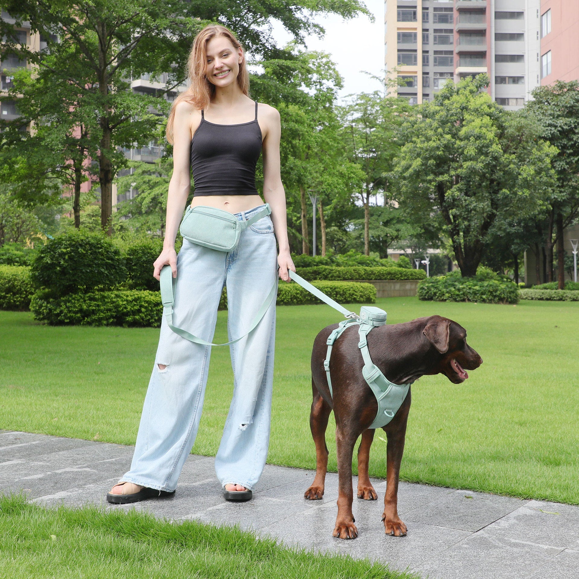 KFX-6313533 Mint Green Pet Collar and Vest Set with Haulage Rope and Mini Dog Bag for Special Occasions