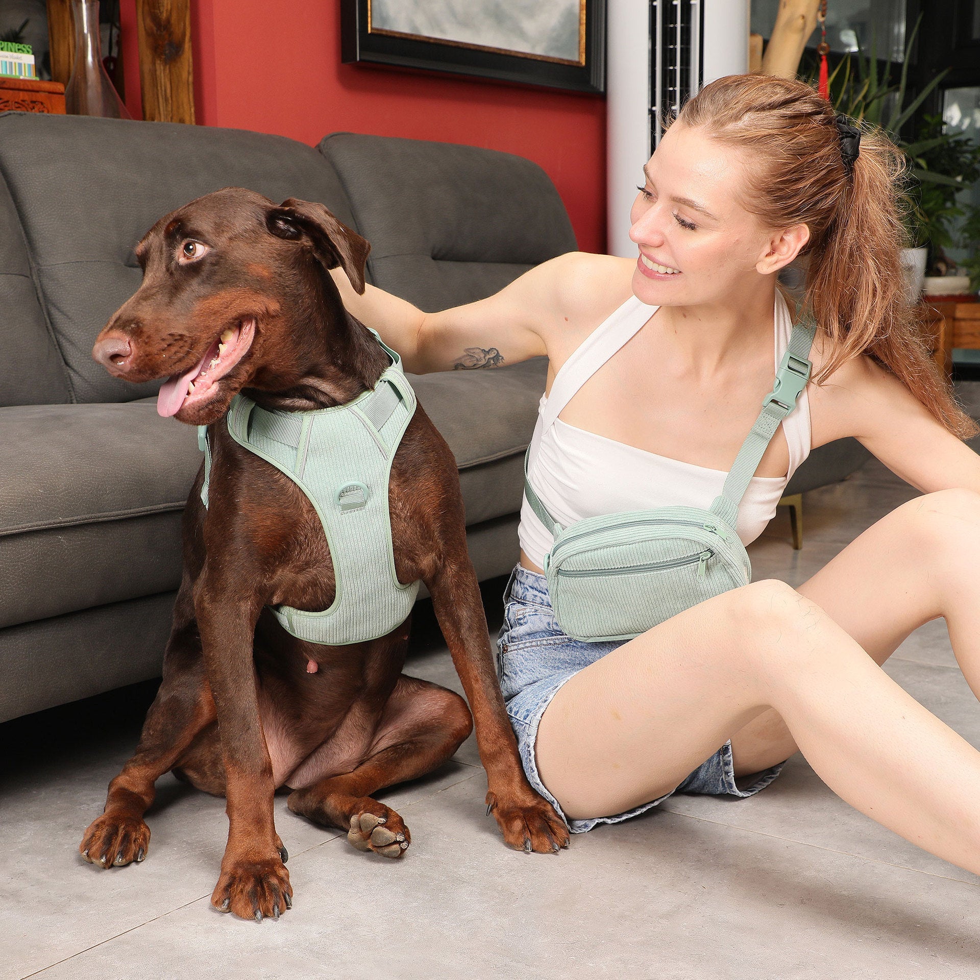 KFX-6313533 Mint Green Pet Collar and Vest Set with Haulage Rope and Mini Dog Bag for Special Occasions