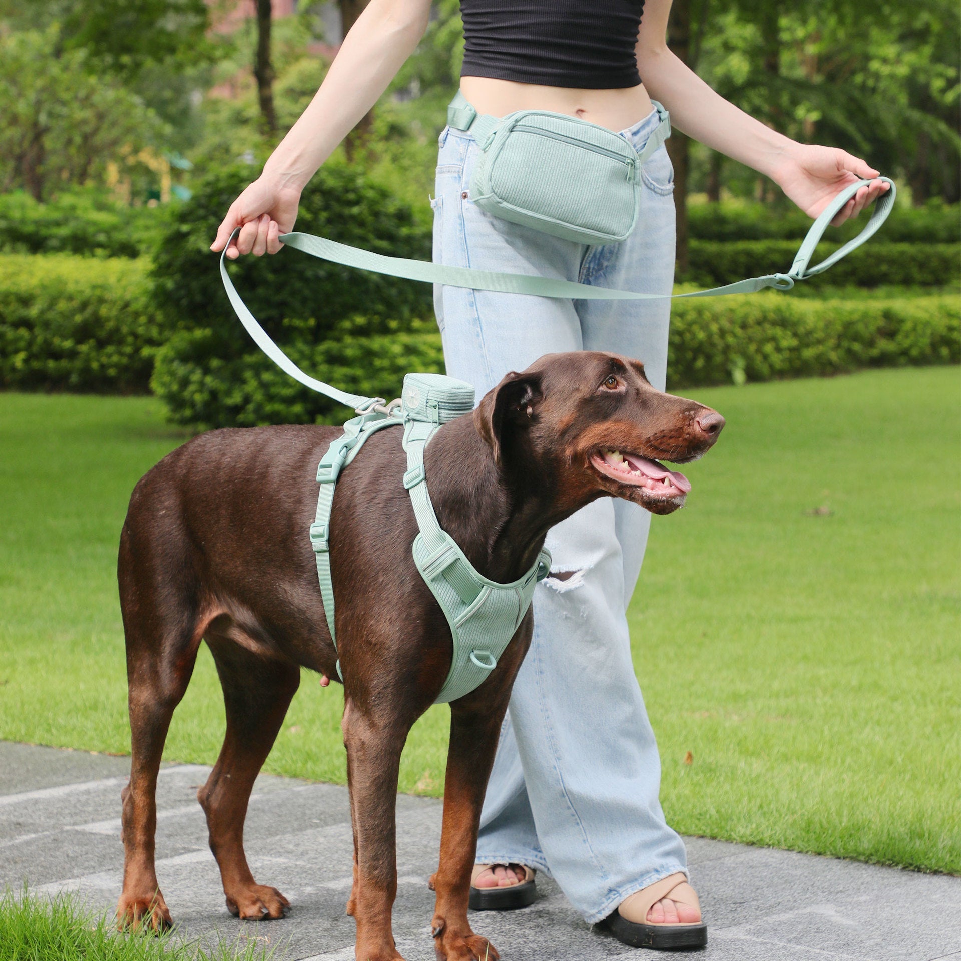 KFX-6313533 Mint Green Pet Collar and Vest Set with Haulage Rope and Mini Dog Bag for Special Occasions