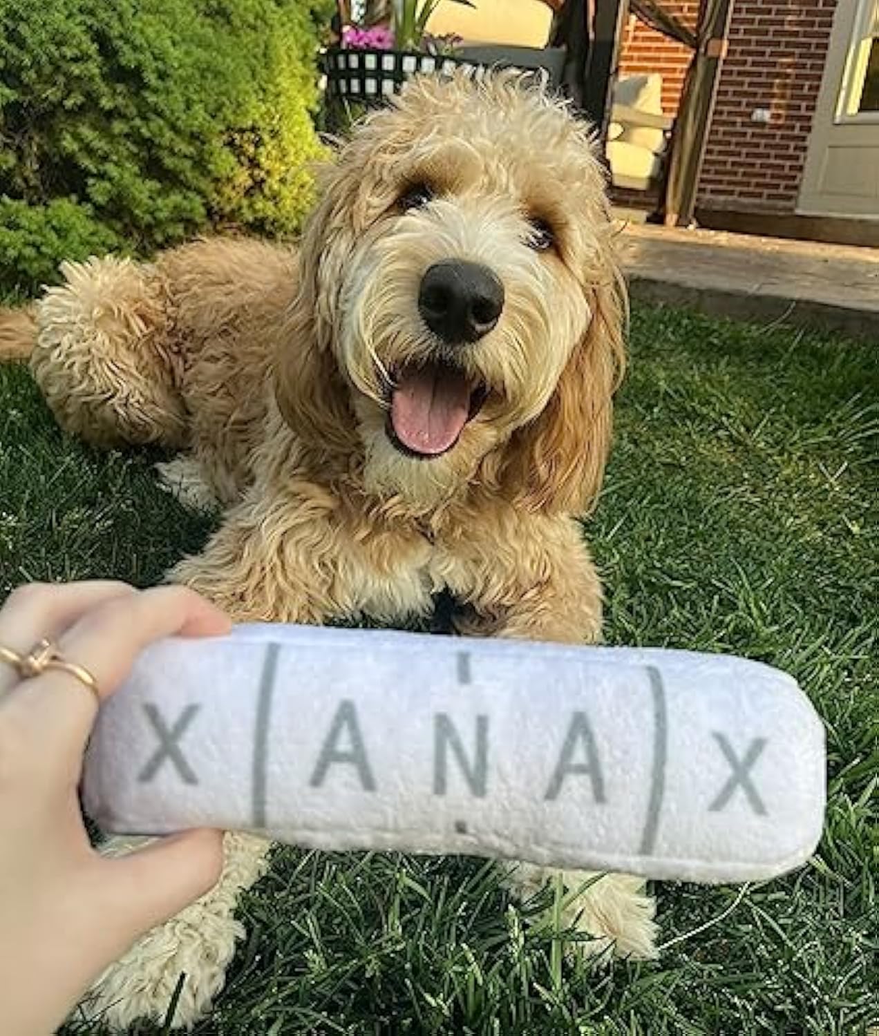 KFX-6315197 Plush Squeaky Crinkle Dog Toy for All Breeds – Durable, Fun and Entertaining 8-Inch Playtime Companion