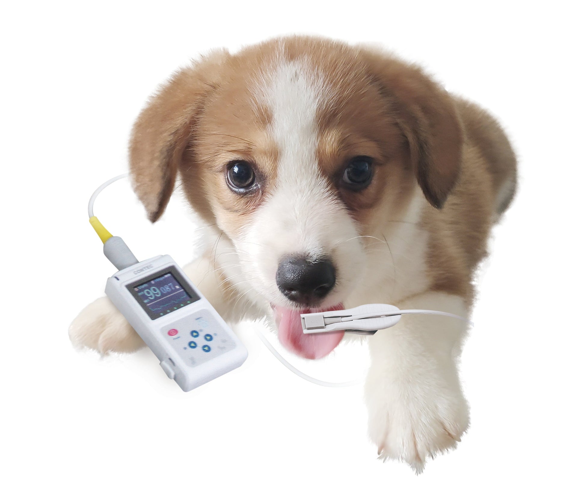 KFX-6330685 Veterinary Pulse Oximeter with Color Display and Spo2 Probe Monitor CMS60D-VET