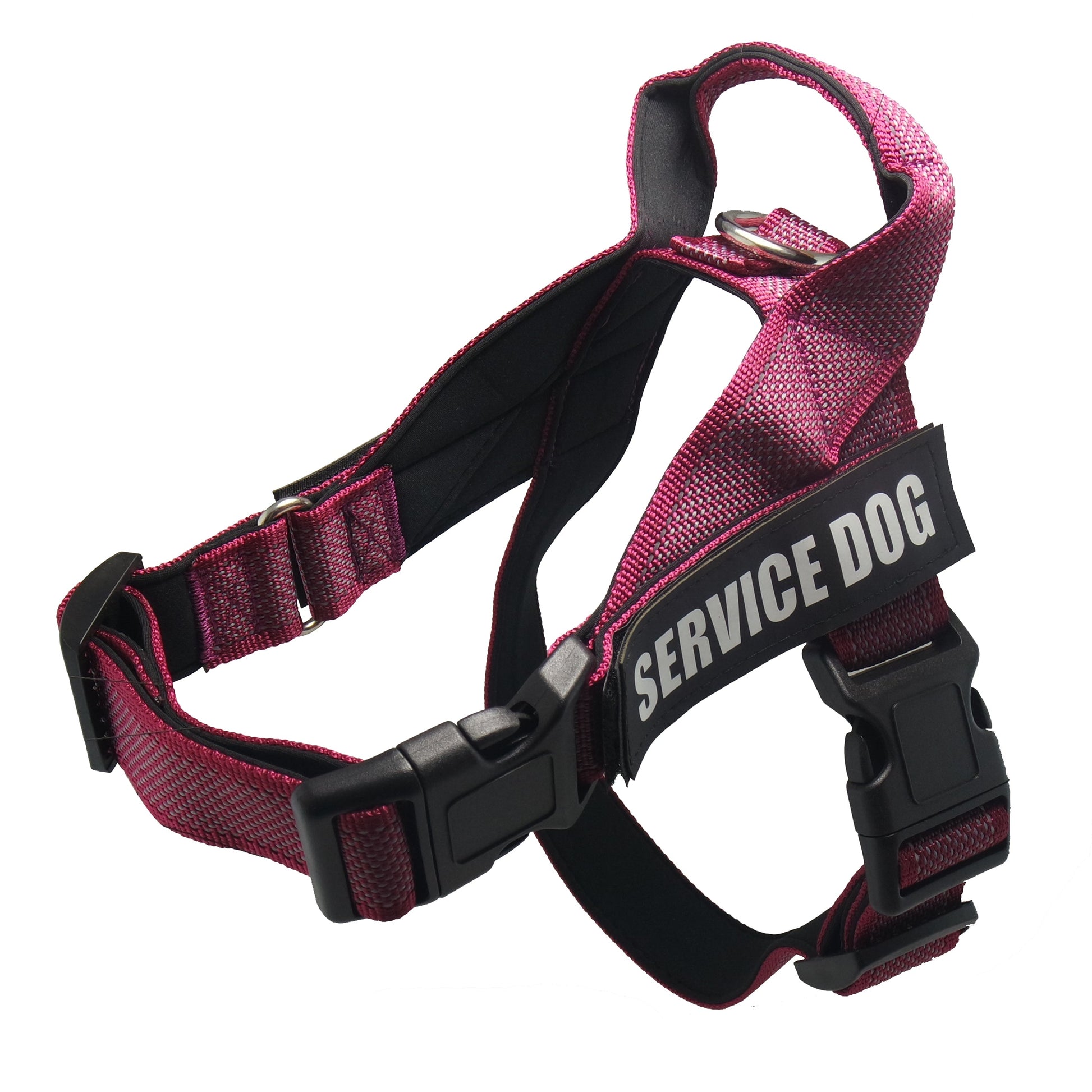 KFX-6334269 Personalized Pet Harness for Comfortable and Stylish Walks