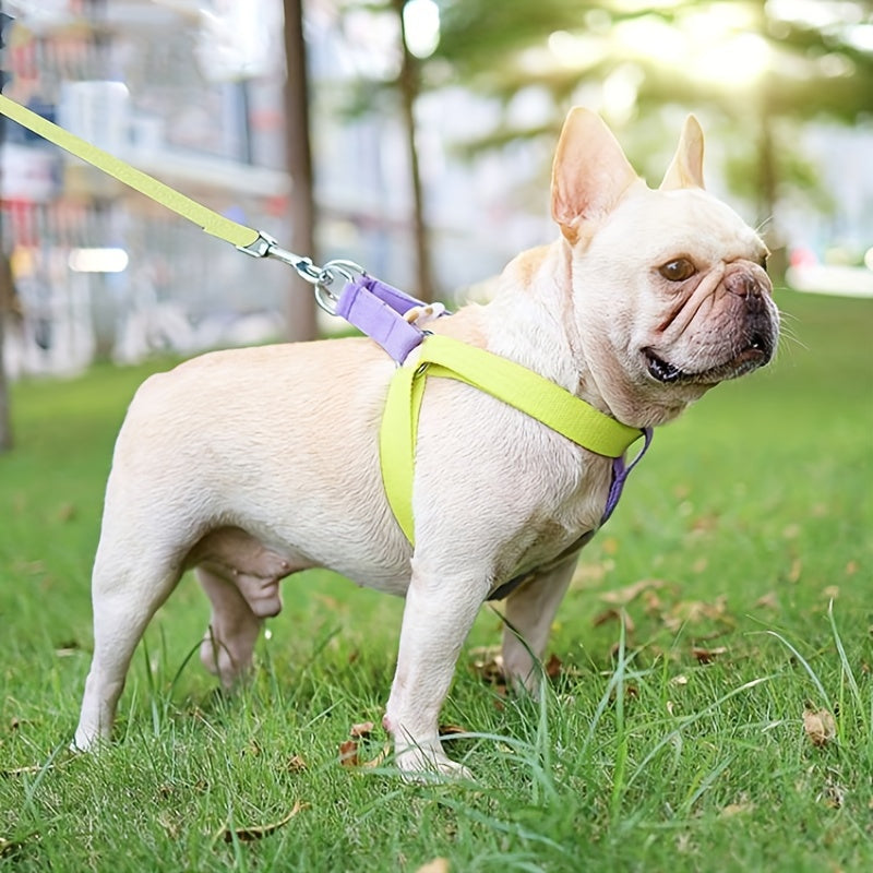 KFX-6342205 Rainbow Colorblock Anti-Escape Pet Harness and Leash Set for Dogs