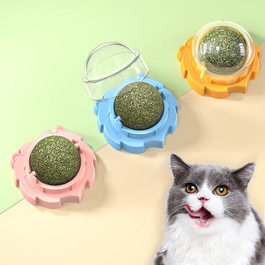 KFX-6359485 Catnip Molar Toy for Cats - Mint & Polygonum Multiflorum Flavors, Assorted Colors